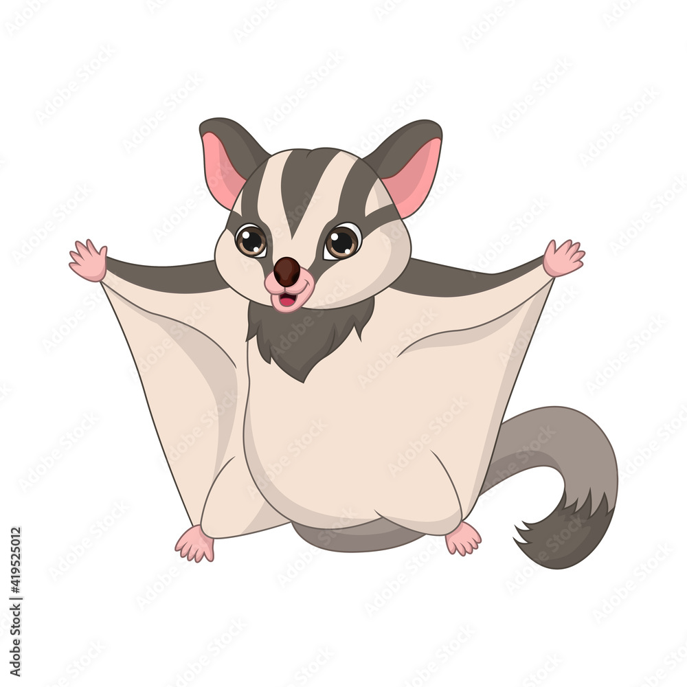 Obraz premium Cartoon sugar glider on white background