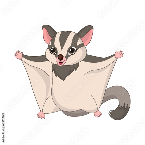 Cartoon sugar glider on white background