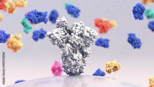 Broadly neutralizing monoclonal antibodies,
binding antibodies that target multiple conserved sites on the spike (S) protein photo