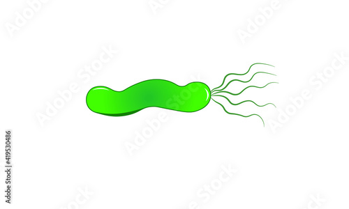 Helicobacter pylori