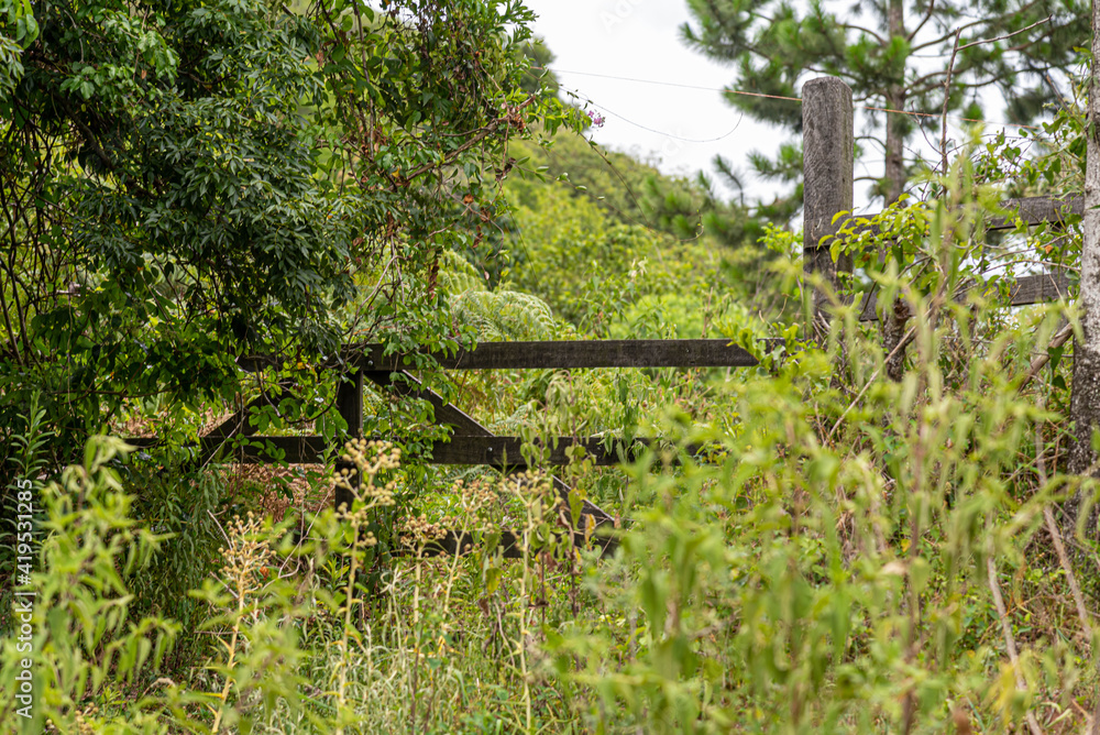 Fototapeta premium Wooden gate of abandoned rural property in the middle of nature