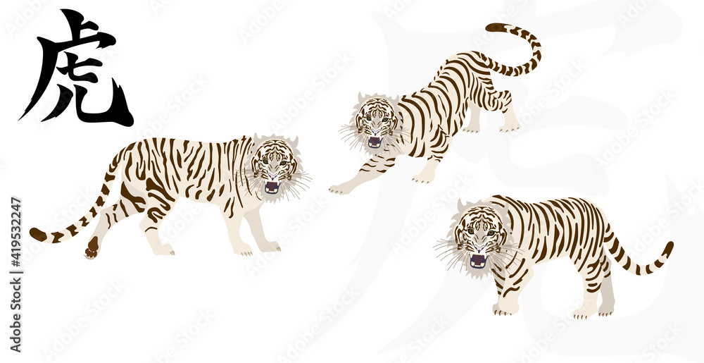 Obraz premium 虎(Tiger)