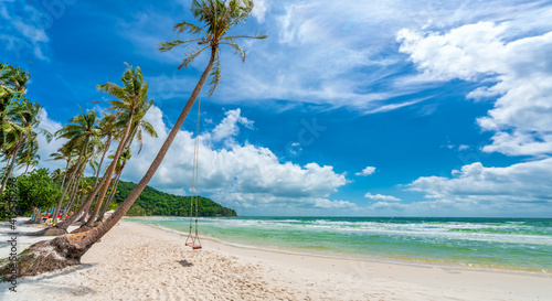 Tela Seascape with tropical palms on beautiful Sao sandy beach in Phu Quoc island, Vi