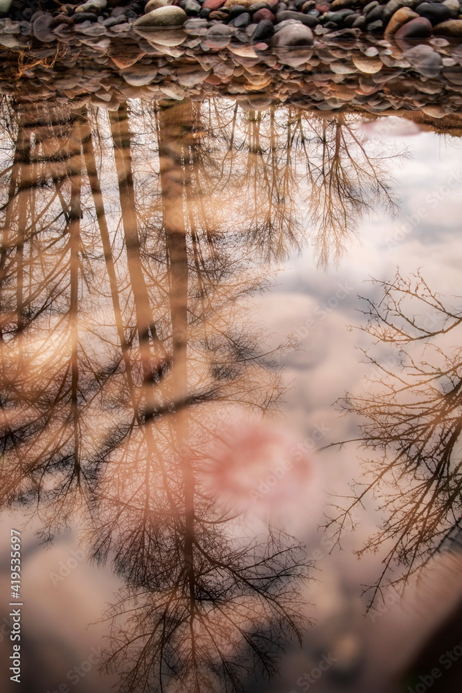 Obraz premium reflection in the water