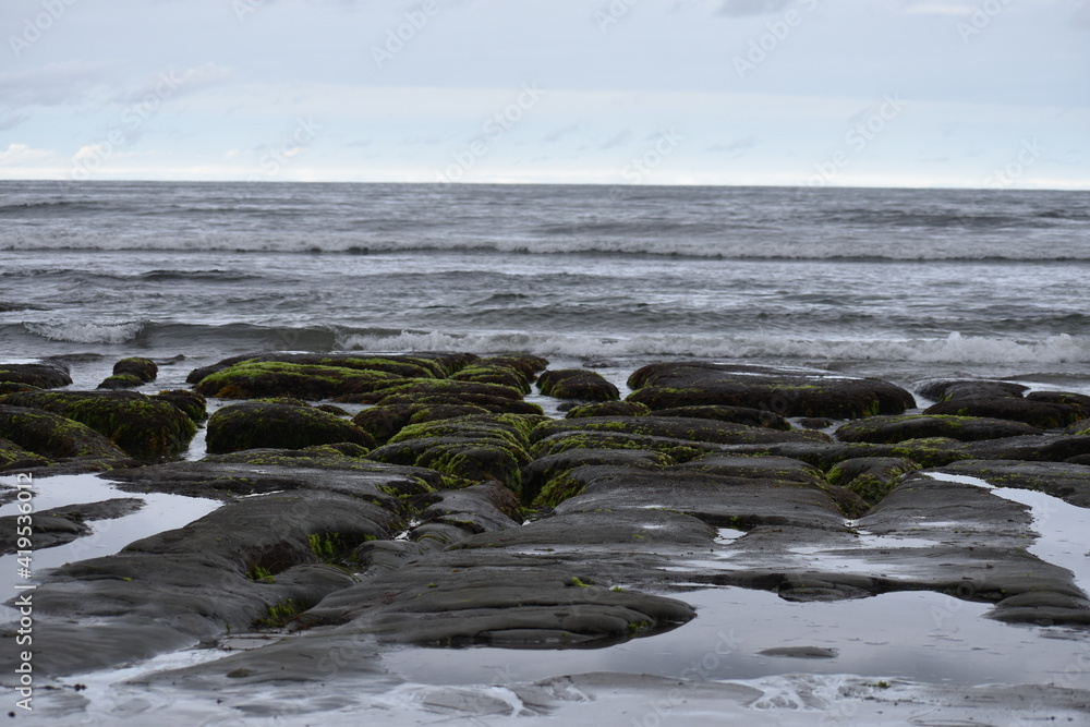Rocks with seagrass at low tide Rocks with seagrass at low tide