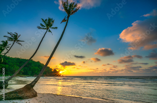 Dawn on a deserted beach with beautiful leaning coconut trees facing the sea and a beautiful dramatic sky emerald Phu Quoc island, Vietnam