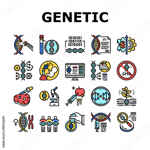 Genetic Engineering Collection Icons Set Vector. Animal And Human, Fruit And Meat Gmo Food, Chemical Laboratory Research And Development Genetic Concept Linear Pictograms. Contour Color Illustrations