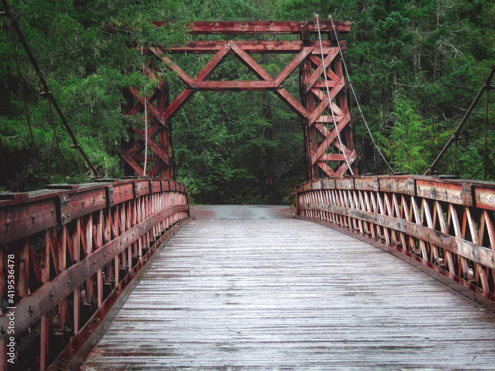Fototapeta premium bridge over the river