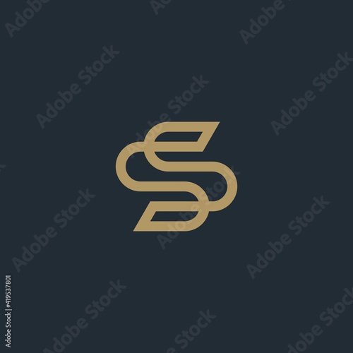 Abstract Elegant Ornament Logo Design. SS letter