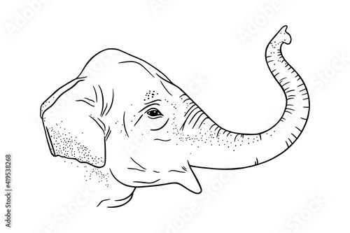 Elephant head profile with upturned trunk. Engraved Indian elephant. Sketch vector illustration isolated on white background