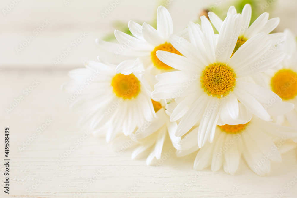 Obraz premium daisies on a wooden background