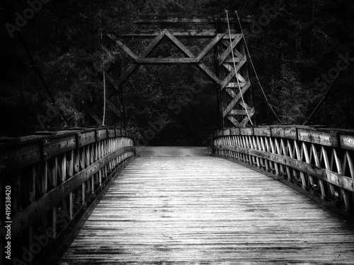 bridge in the forest