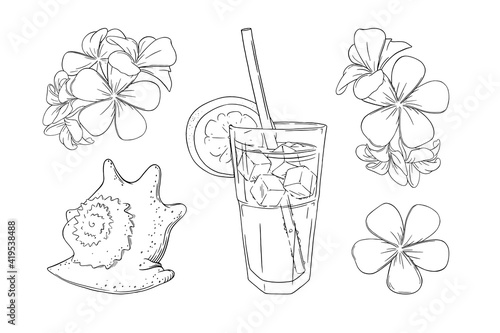 Cocktail, flowers and seashell set. Sea vacation with cocktails set isolated in white background. Outline vector illustration