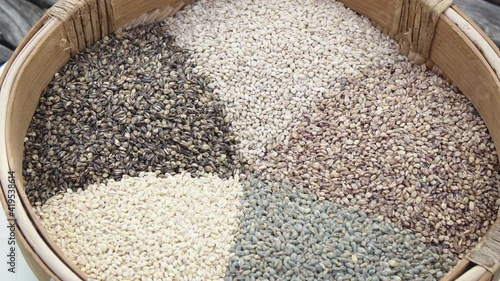 IF-barley rice/보리/麦米grano de cebada/orge mondé/Gerstenreis/riso d'orzo/大麦米 photo