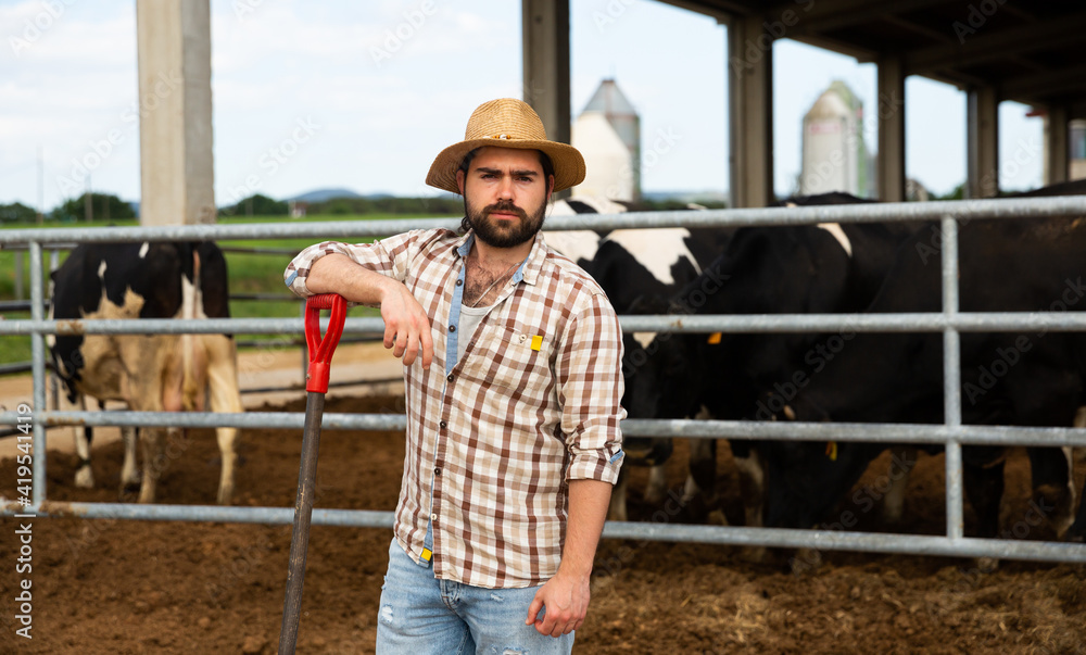 Smiling man farmer standing near cow on background at farm outdoor