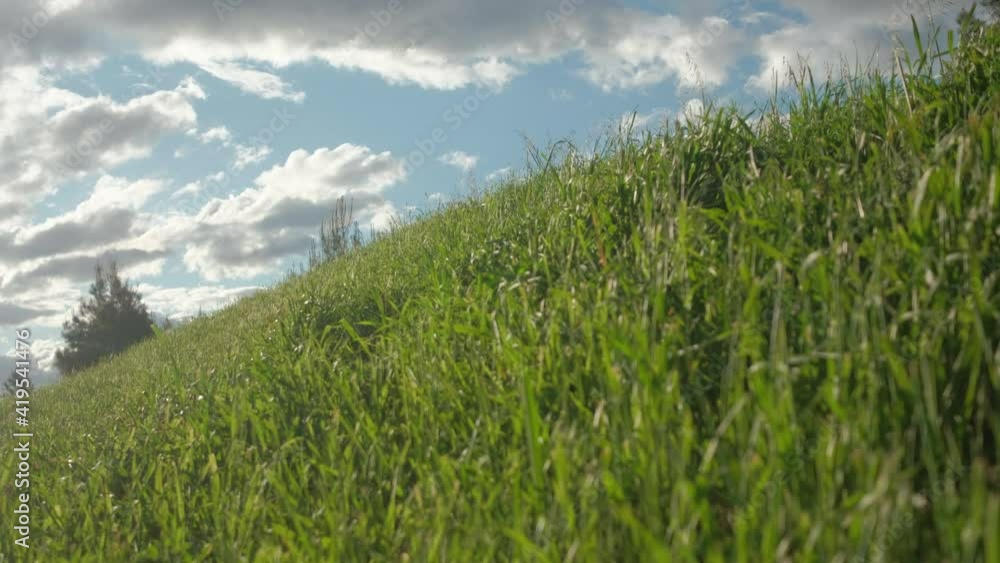 Sunlight shining on a grassy hill on a sunny day with cloudy blue sky in the background. Sunlight shining on a grassy hill on a sunny day with cloudy blue sky in the background.