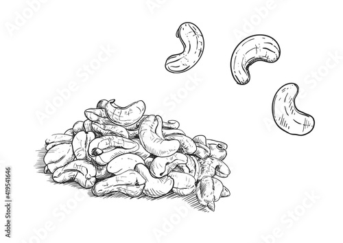 Hand drawn sketch black and white of nuts, cashews. Vector illustration. Elements in graphic style label, sticker, menu, package. Engraved style illustration
