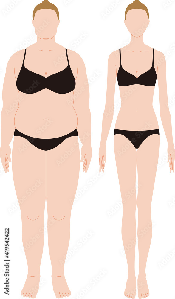肥満と痩身の女性.ベクター素材 肥満と痩身の女性.ベクター素材