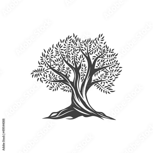 Olive tree icon, olives, leaves and branches in vector flat line. Olive tree sign for extra virgin olive oil, Mediterranean cuisine, Greek and Spanish vegetable food product package