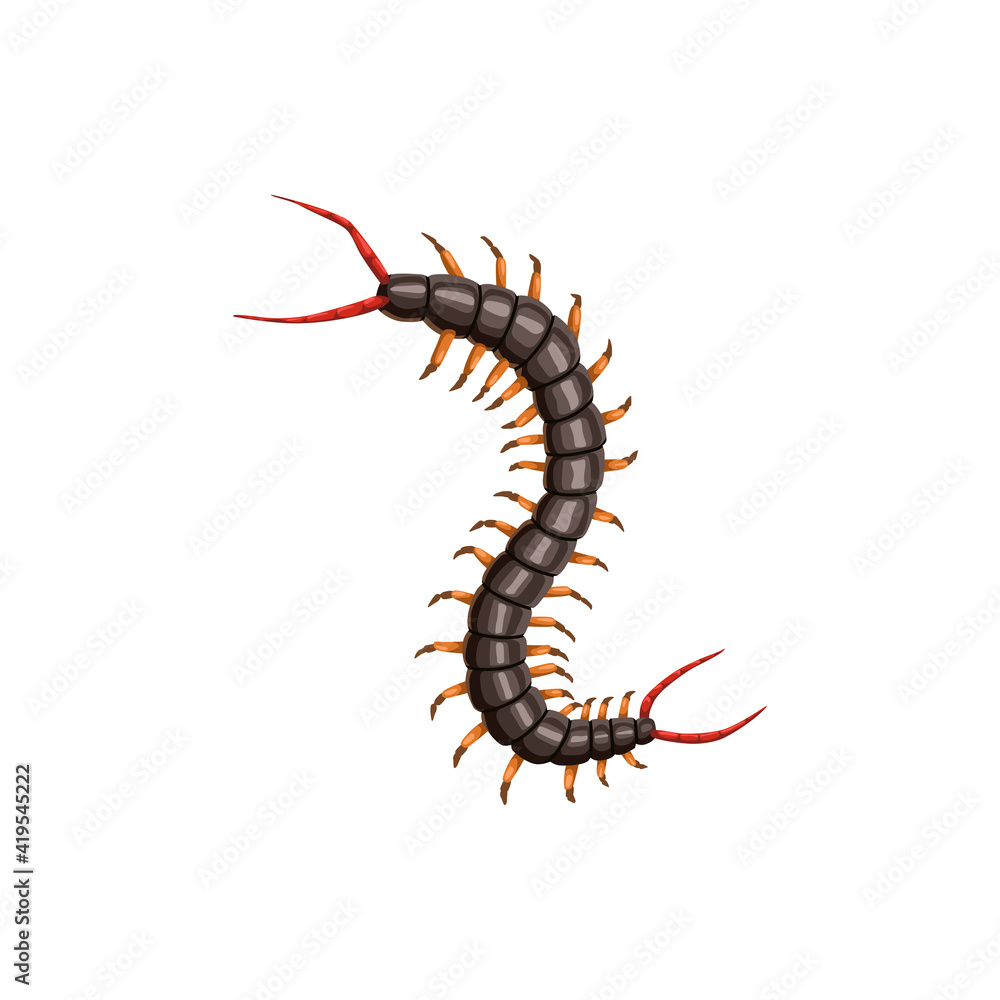 Centipede icon, pest control insects disinsection and extermination, vector. Centipede insect, agriculture and gardens pesticide disinfection, domestic parasites sanitary disinfestation pest control Centipede icon, pest control insects disinsection and extermination, vector. Centipede insect, agriculture and gardens pesticide disinfection, domestic parasites sanitary disinfestation pest control