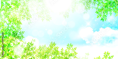 新緑　葉　春　背景 
