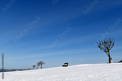 Schneelandschaft im Hunsrück