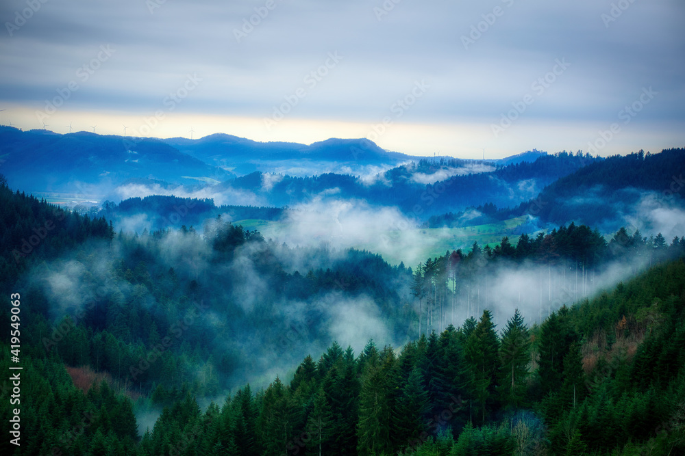 Obraz premium fog in the mountains