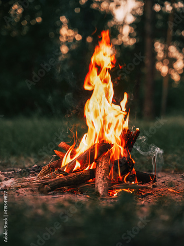 Konstfotografi Beautiful campfire in the evening at the forest