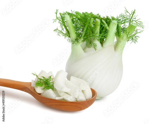 fresh fennel bulb isolated on white background with full depth of field