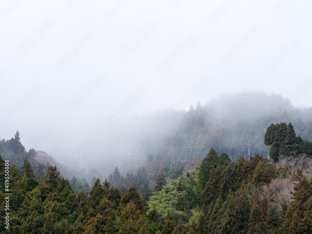 雲がかった四国の冬の山の風景