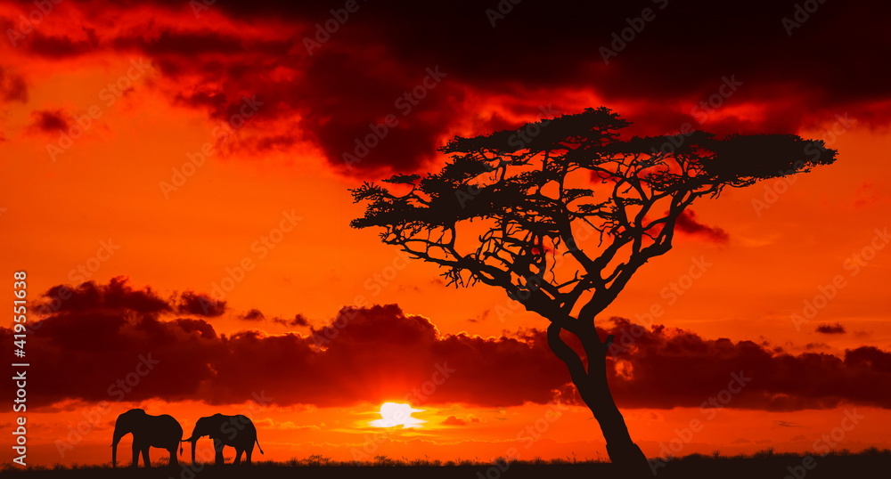 Bright sunset with a big yellow sun over african savanna.