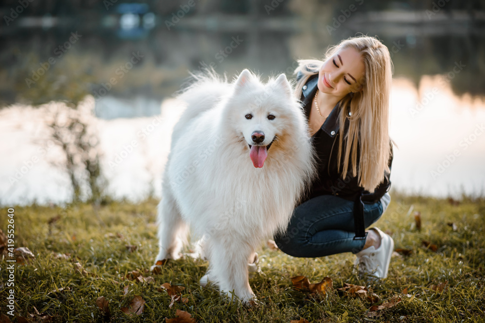 portrait of a young beautiful woman that's playing on the shore of the lake with her white dog samoyed portrait of a young beautiful woman that's playing on the shore of the lake with her white dog samoyed
