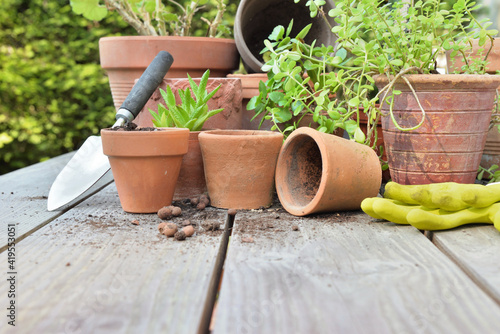 Bilde på lerret terra cotta flower pots with plants and shovel  on a table in garden