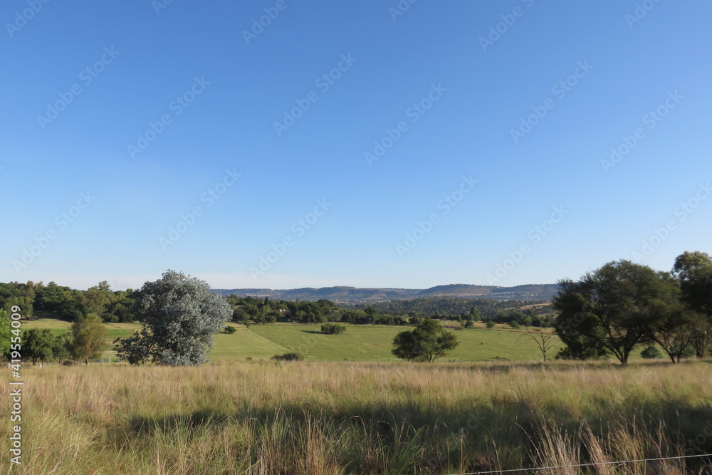 An aerial scenic landscape view of a sheep farm with a variety of green pastures squared off into separate fields surrounded by large trees under a blue sky An aerial scenic landscape view of a sheep farm with a variety of green pastures squared off into separate fields surrounded by large trees under a blue sky
