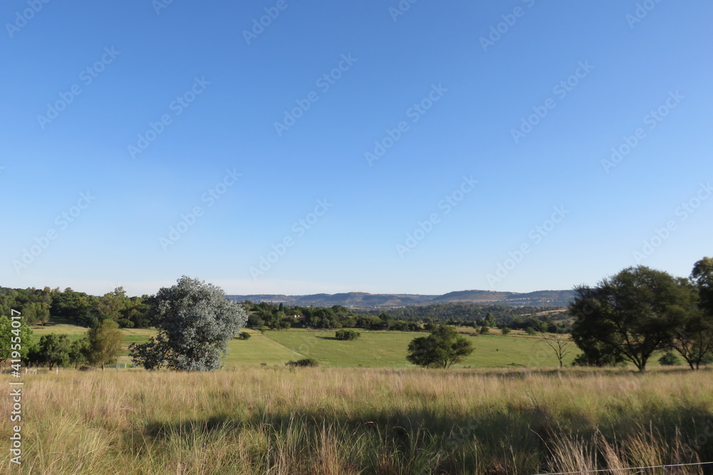 An aerial scenic landscape view of a sheep farm with a variety of green pastures squared off into separate fields surrounded by large trees under a blue sky