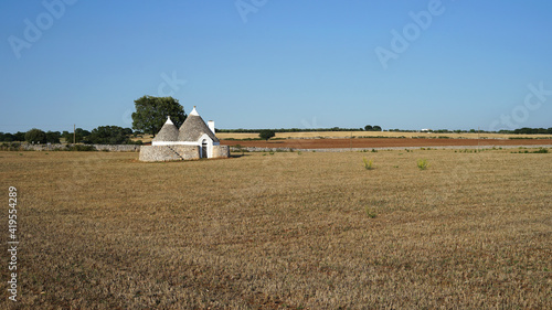 Trullo whitewashed stone hut with conical roof on countryside field, famous in Apulia region, travel concept, Italy