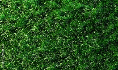 Top view The lawn has morni...