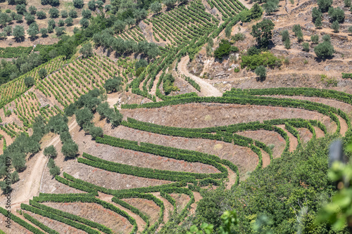 Aerial typical landscape of the highlands in the north of Portugal, levels for agriculture of vineyards, olive tree groves