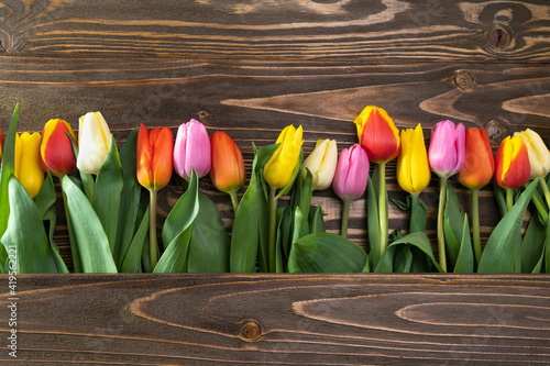 Beautiful multicolored tulips on brown wooden background top view