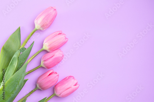 Fototapeta Naklejka Na Ścianę i Meble -  Pink tulips lie on a pink background, copy-space