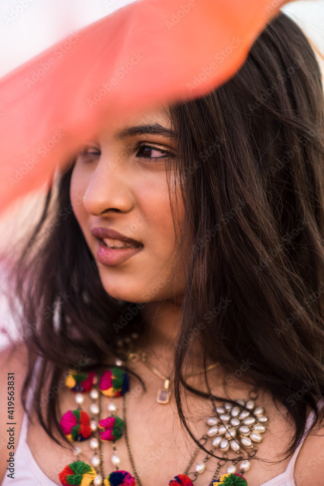 Portrait Of Beautiful Indian Girl Wearing Indian Traditional Dress