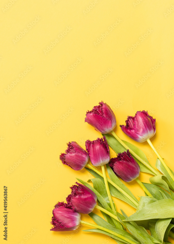 Pink tulip flowers bouquet on yellow background. Flat lay, top view. Pink tulip flowers bouquet on yellow background. Flat lay, top view.