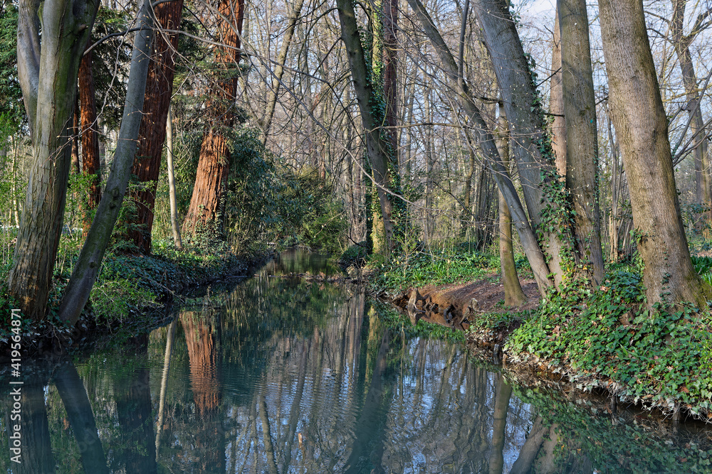 Fototapeta premium Early morning lights of dawn on a small creek of the park. Parc de la Tete d'Or is one of the larger city park in France