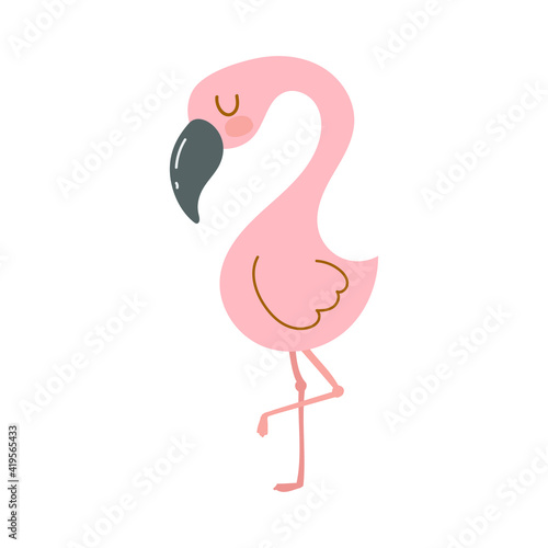little flamingo on the white background