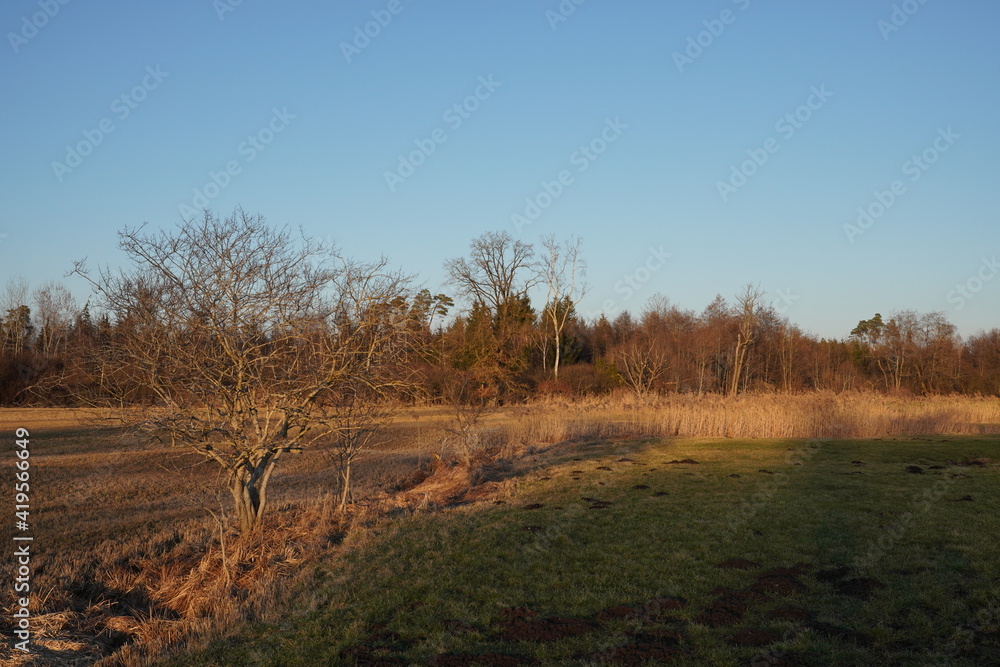 Moorlandschaft Eulenau im Frühling