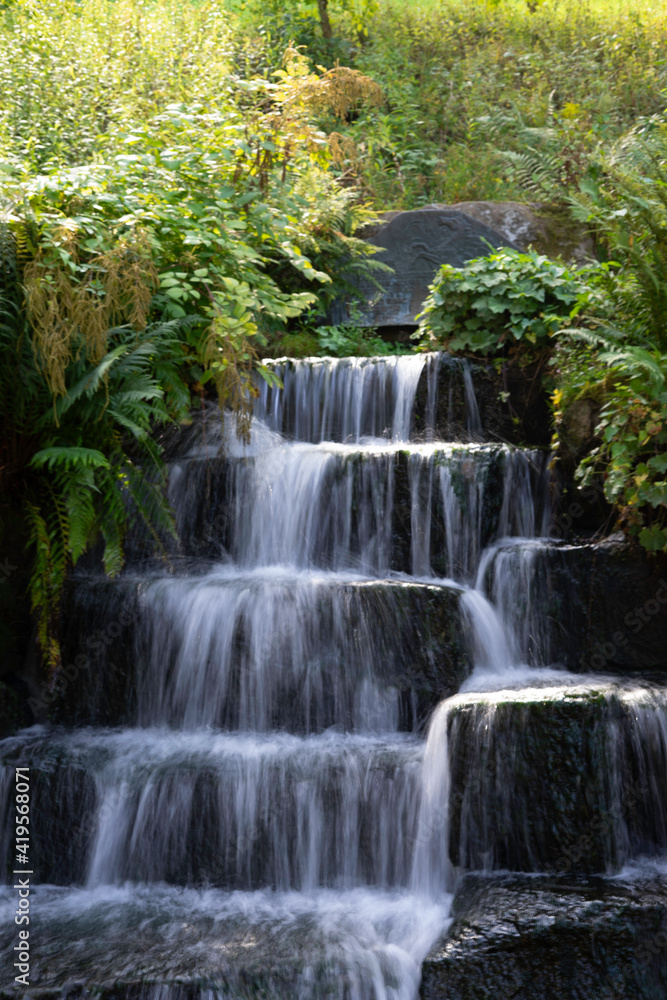 Obraz premium waterfall in the woods