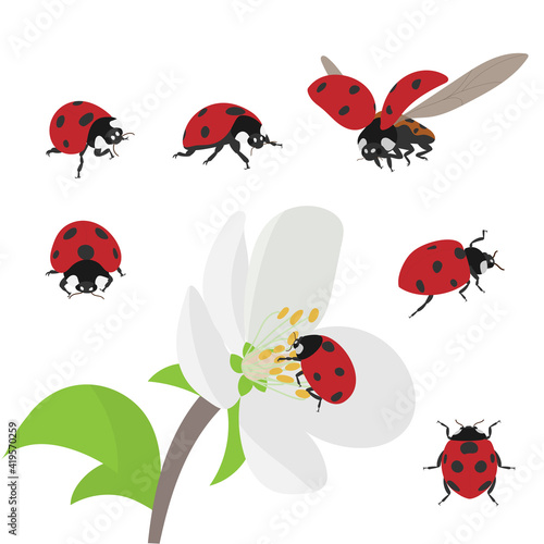 Set of seven isolated cartoon red ladybugs with flower. Vector