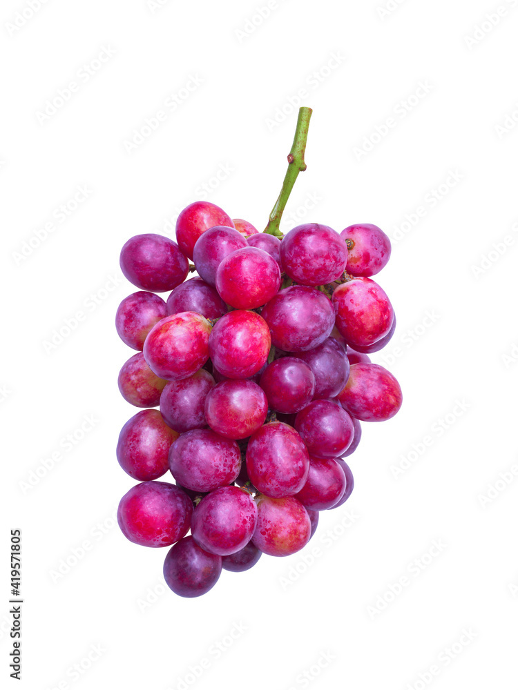 isolated bunch of red grapes by closeup textue with clipping path on white background a nutrition organic fruit for healthy food dessert and juice or wine ingredient