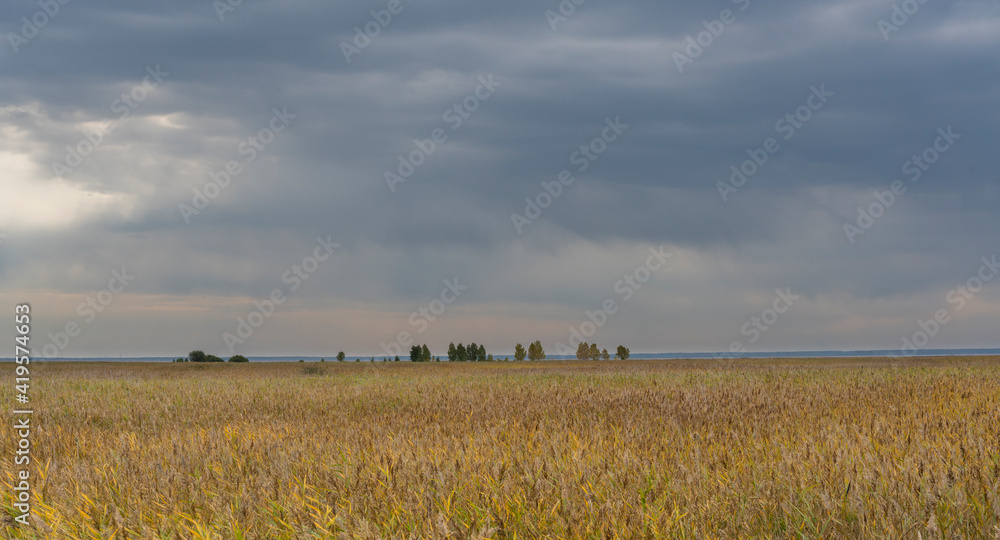 Dark Clouds Marsh Siberia Russia