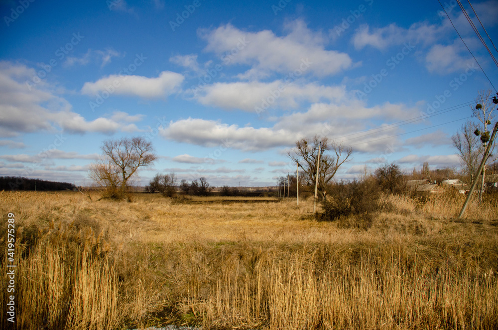 grass and sky grass and sky